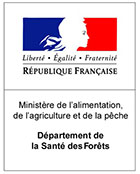 logo DSF