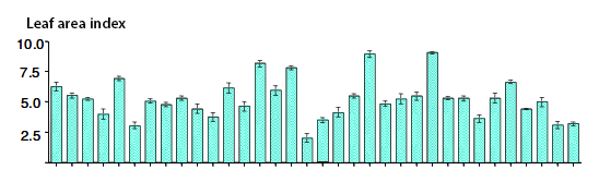 Example of variability in leaf area index    
