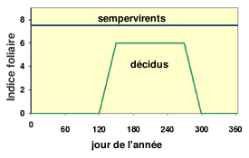 Variation de l'indice foliaire.

